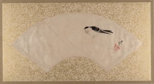 Oiseaux, fin du 19e siècle