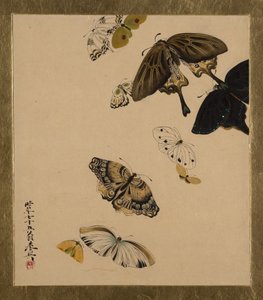 Peintures laquées de divers sujets : Papillons, daté 1881 - Shibata Zeshin
