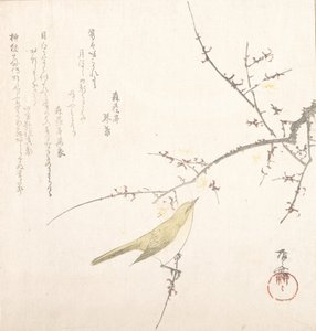 Nouvelle Lune, rossignol sur une branche de prunier, 19e siècle - Shinsai