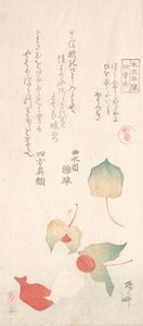 Cerises d