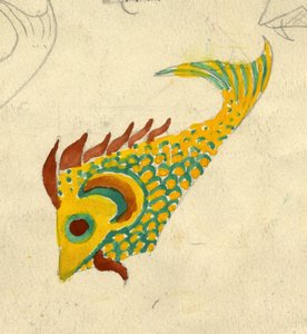 Illustration de poisson - Shirley Markham