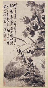 Hibiscus, Lotus et Roche, vers 1705-7 - Shitao