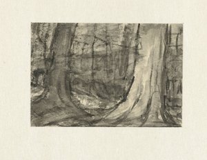Vue entre les arbres - Sientje Mesdag van Houten
