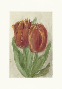 Deux tulipes rouges