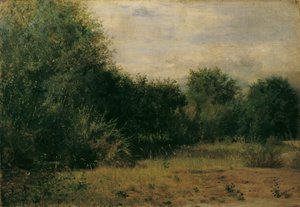 Étude de paysage