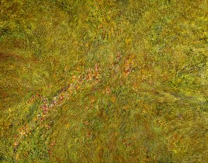 Royaume riche - Silvian Sternhagel