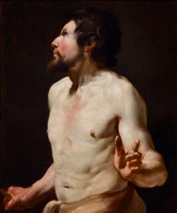 Étude de torse de l