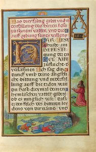 Rand mit David, der Gott anfleht, die Pest zu beenden - Simon Bening