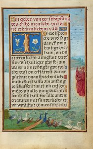Bordüre mit der Erschaffung von Vögeln und Fischen - Simon Bening