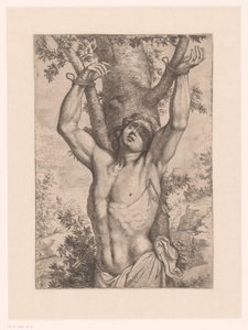 Saint Sébastien attaché à un arbre - Simon Francois