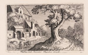 Homme avec un âne marchant près d