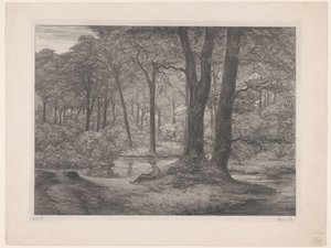 Forêt avec étang et homme allongé