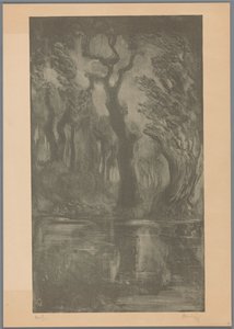 Eau dans la forêt - Simon Moulijn (signed by artist)