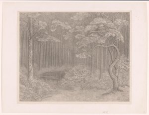 Paysage forestier - Simon Moulijn