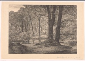 Vue sur le Hunnenschans sur la Veluwe (De hunnenschans) - Simon Moulijn