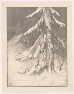 Sapin dans un paysage enneigé