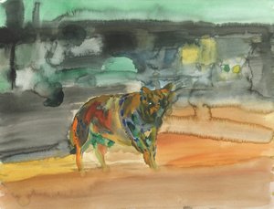 Coyote de la ville, 2019 - Simon Neville