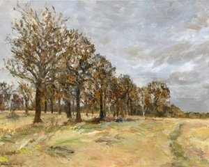 Forêt, Richmond Park no 6, 2022 - Simon Neville