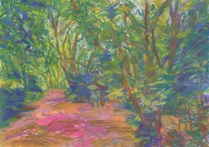 Sentier forestier n°29, 2024