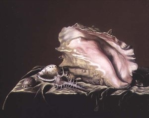 Nature morte de coquillages