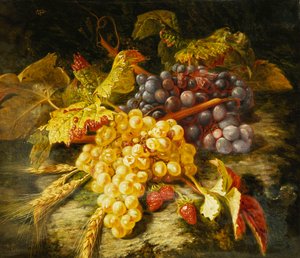 Raisins, blé barbu et fraises sur un rebord rocheux, 1849 - Simon Saint Jean