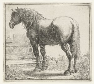 Cheval de trait près d