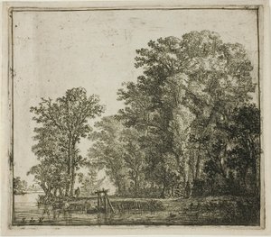 Bois près d