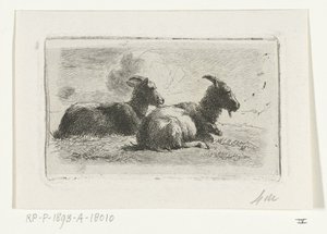 Deux chèvres couchées - Simon van den Berg