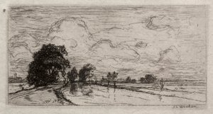 Paysage inondé avec des arbres