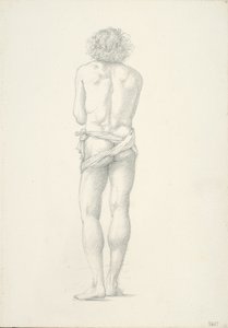 Vue de dos d
