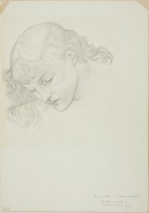 Tête, étude pour Miroir de Vénus