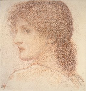 Étude de la Tête d
