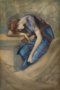 La série de la rose églantine - Étude pour 