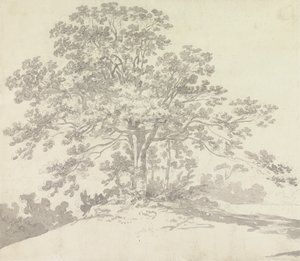 Arbre - Sir George Howland Beaumont seventh Baronet
