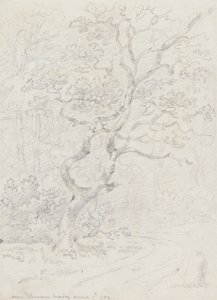 Arbres, près de Lausanne - Sir George Howland Beaumont seventh Baronet