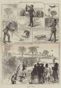 Chasse au faucon à Hendon - Sir John Charles Robinson