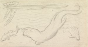 Étude de vitrail, une loutre et deux poissons - Sir John Everett Millais