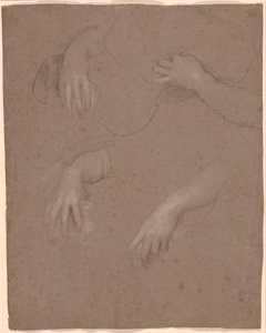 Dessins de mains - Sir Peter Lely