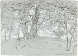 Arbres à Box Hill