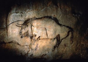 Bison dans le Salon Noir de la grotte de Niaux