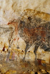 Détail de la peinture gravée de têtes de chevaux, Lascaux. - Sisse Brimberg
