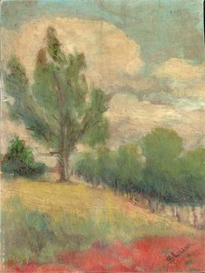 Padina avec un Grand Arbre