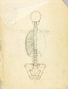 Étude d