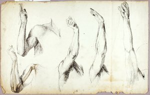 Études sur les bras, n° 2 - Solon H. Borglum