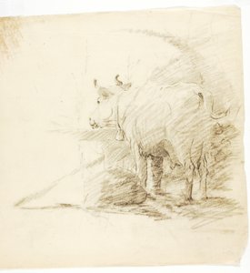 Vache