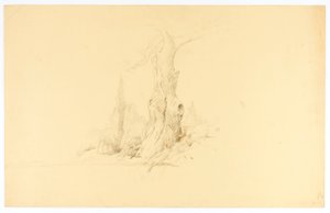 Arbre mort et pâturage de colt - Solon H. Borglum