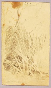 Foliage - Solon H. Borglum