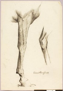 Étude sur les chevaux - Solon H. Borglum