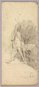 Cheval et chariot