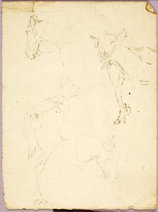 Chevaux - Solon H. Borglum